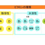 【不足になりがち？】水溶性ビタミンの不足がもたらす影響と対策