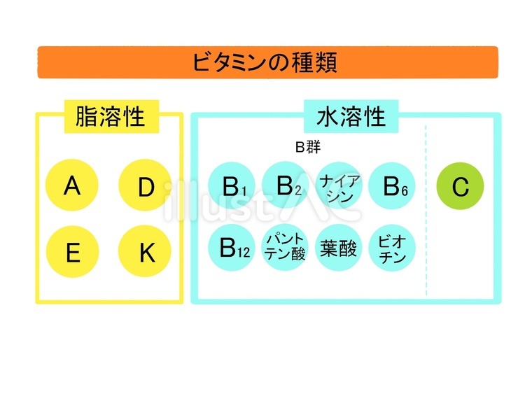 【不足になりがち？】水溶性ビタミンの不足がもたらす影響と対策