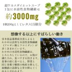 【必見】ダイエット成功の秘訣はワカメにあり？栄養価と美味しい食べ方